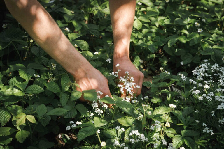 Restaurant Gutschein für Neuhof am See