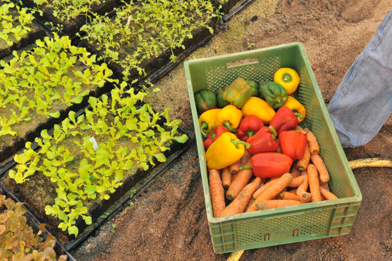 Restaurant voucher Restaurant Lippeschlößchen Wesel