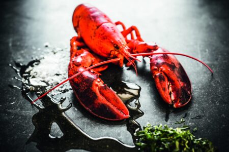 Restaurant Marseille Restaurant-Gutschein