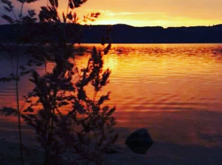 Restaurant Gutschein Stadtstrand Torgau Weitere Städte